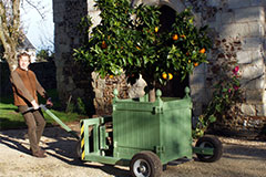 Carrosse à caisse à oranger